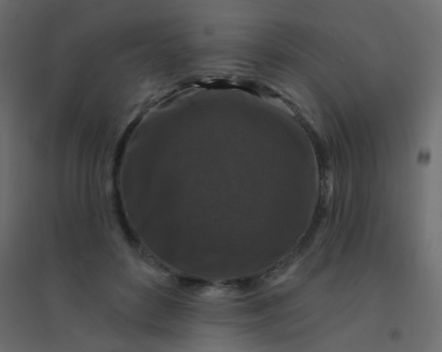 X0000094940504200712131603