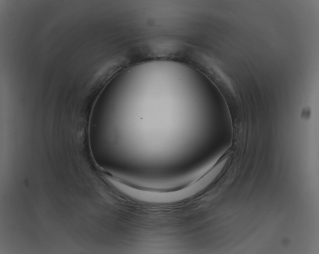 X0000094940505200712131603