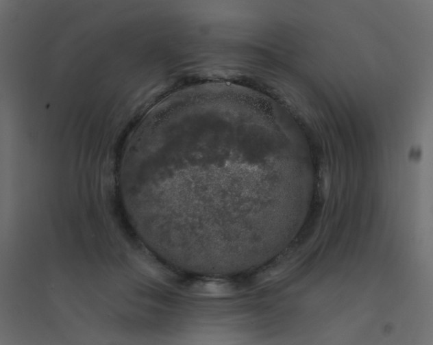 X0000094940506200712131603