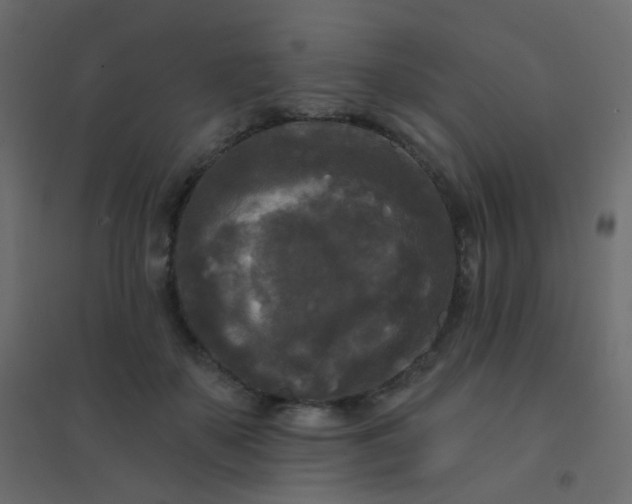 X0000094940507200712131603