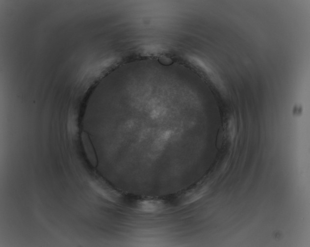 X0000094940508200712131603