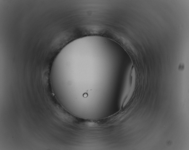 X0000094940509200712131603