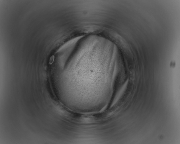 X0000094940510200712131603