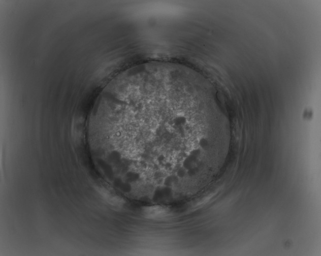 X0000094940511200712131603