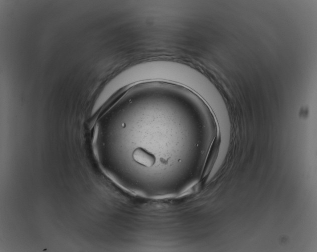 X0000094940512200712131603