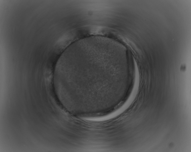 X0000094940513200712131603