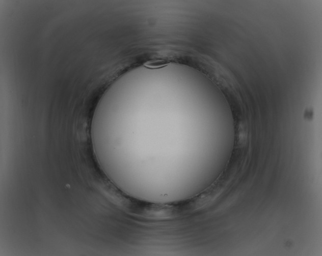 X0000094940514200712131603