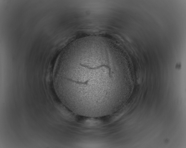 X0000094940515200712131603