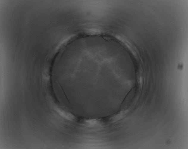 X0000094940516200712131603