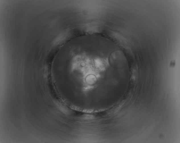 X0000094940519200712131603