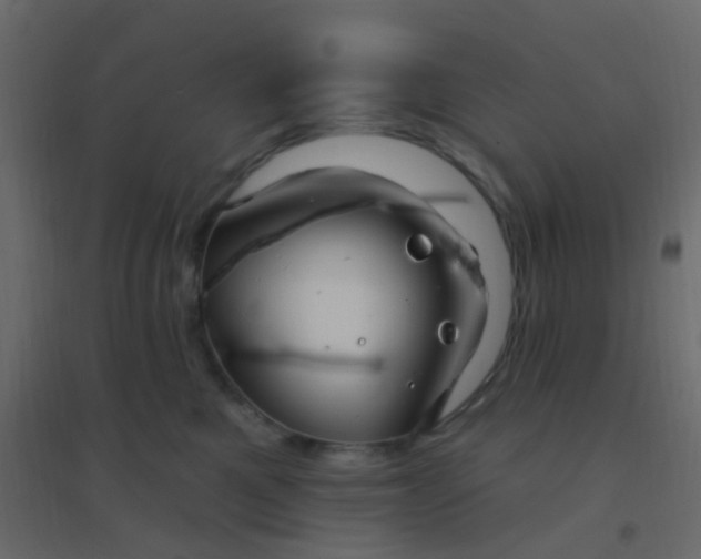 X0000094940521200712131603