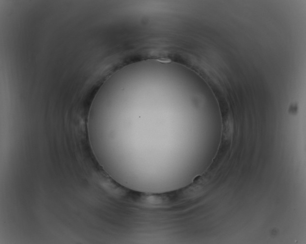 X0000094940522200712131603