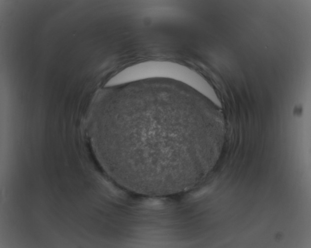 X0000094940523200712131603