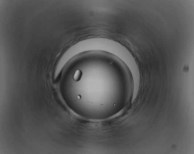 X0000094940524200712131603