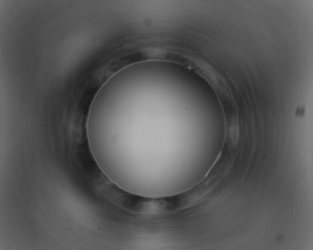 X0000094940525200712131603