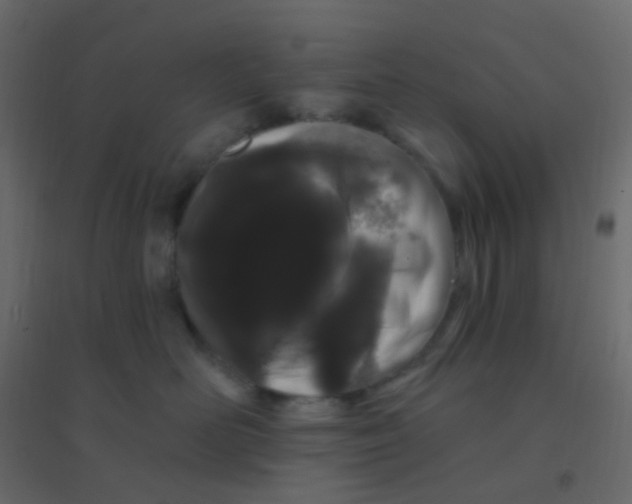 X0000094940526200712131603