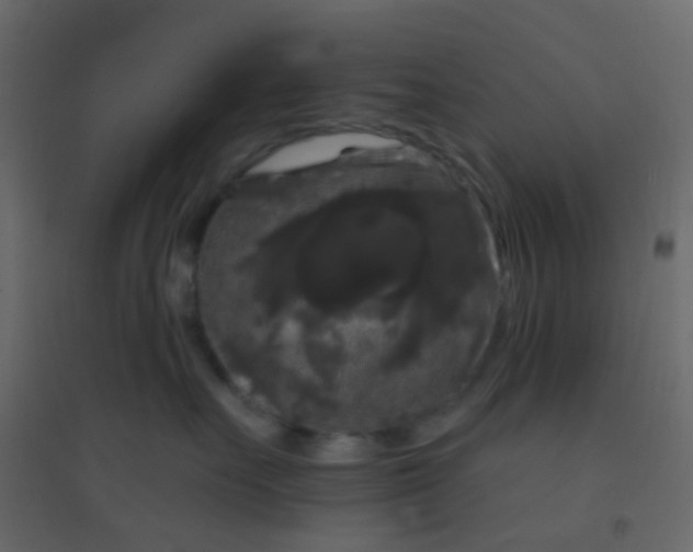 X0000094940527200712131603