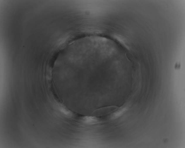 X0000094940528200712131603