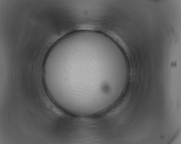 X0000094940529200712131602