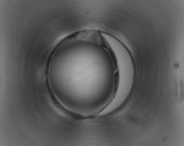 X0000094940530200712131602