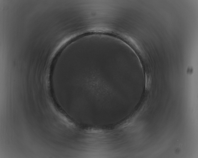 X0000094940531200712131602