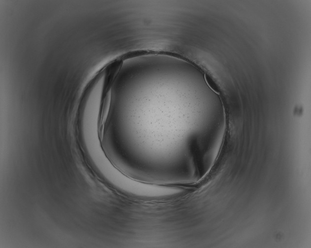 X0000094940532200712131602