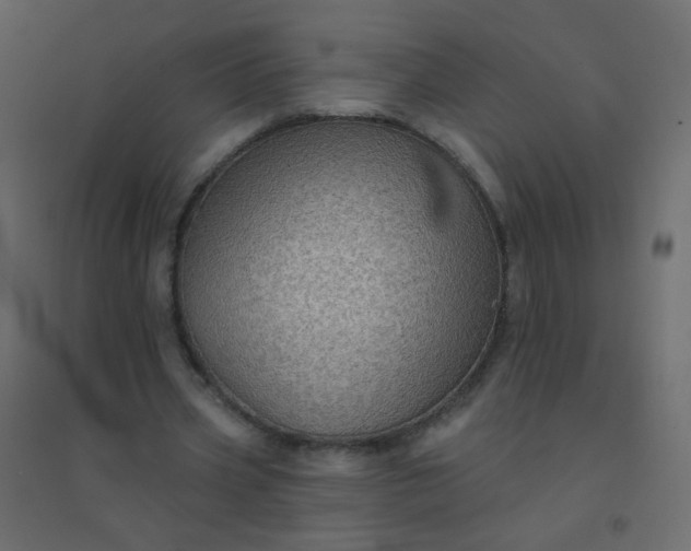 X0000094940533200712131602