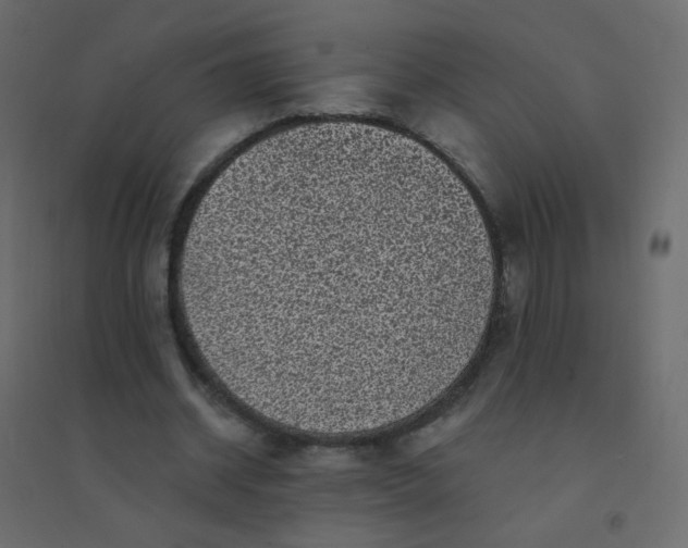 X0000094940534200712131602