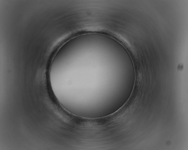 X0000094940535200712131602