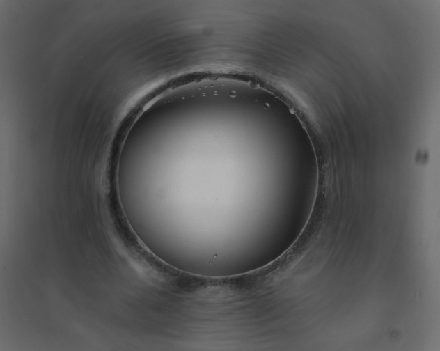 X0000094940536200712131602