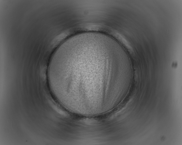 X0000094940537200712131602