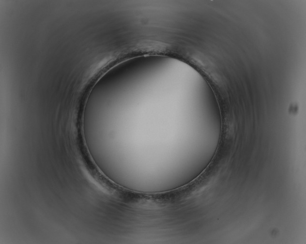 X0000094940538200712131602