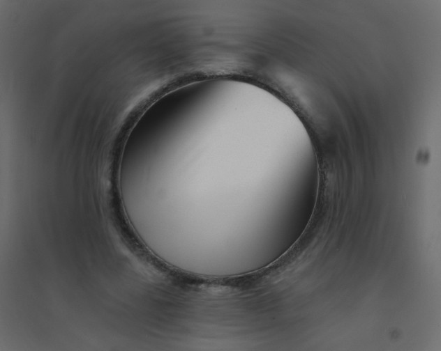 X0000094940539200712131602