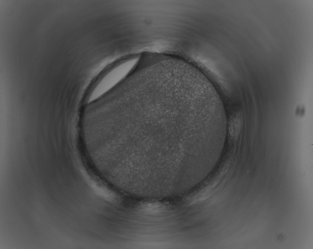 X0000094940540200712131602