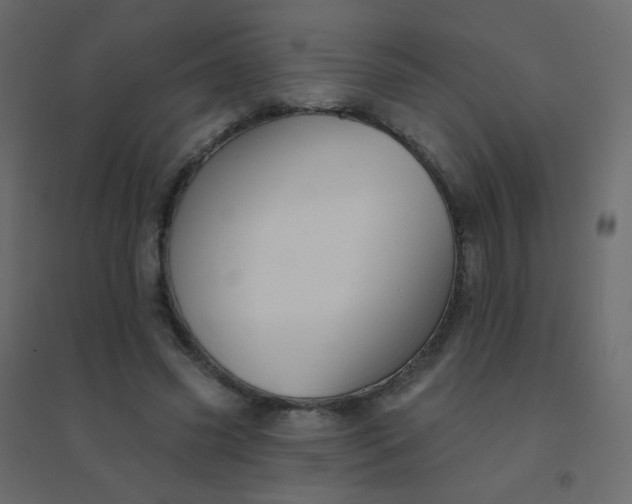 X0000094940541200712131602