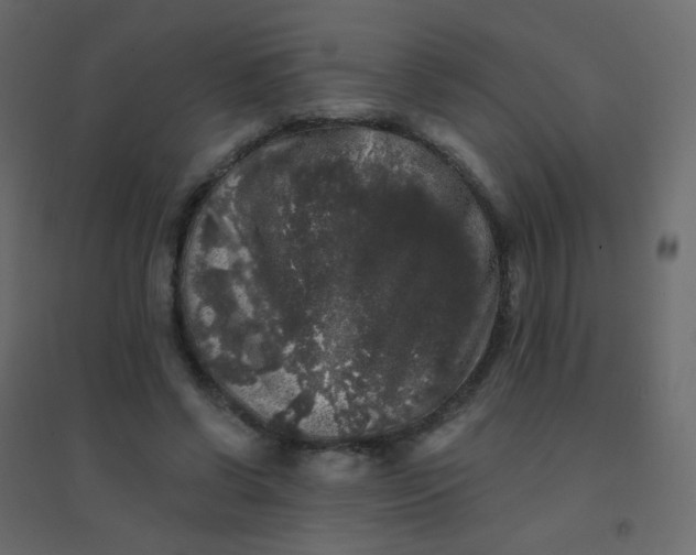 X0000094940542200712131602