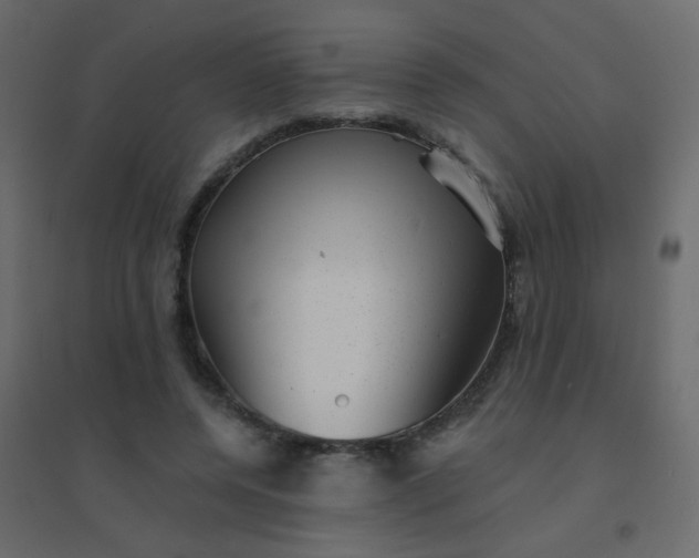 X0000094940544200712131602