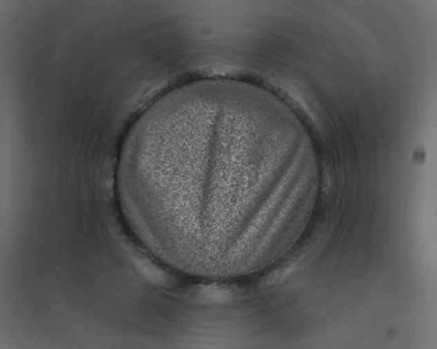 X0000094940545200712131602