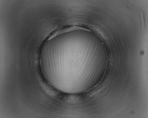 X0000094940546200712131602