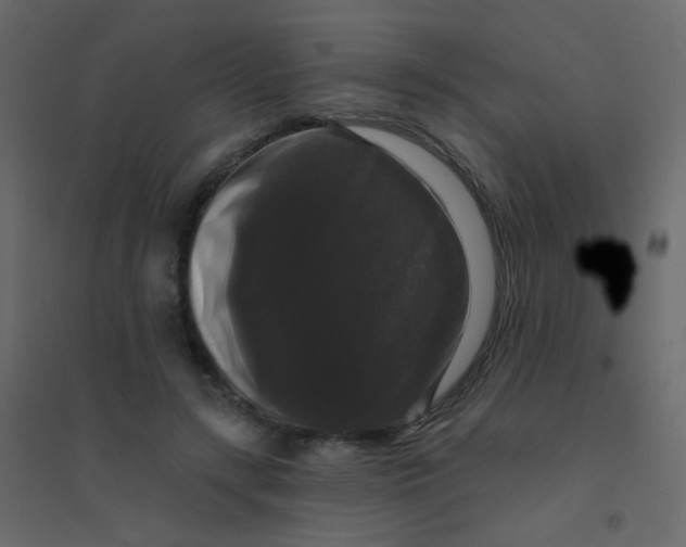 X0000094940547200712131602