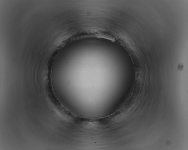 X0000094940548200712131602