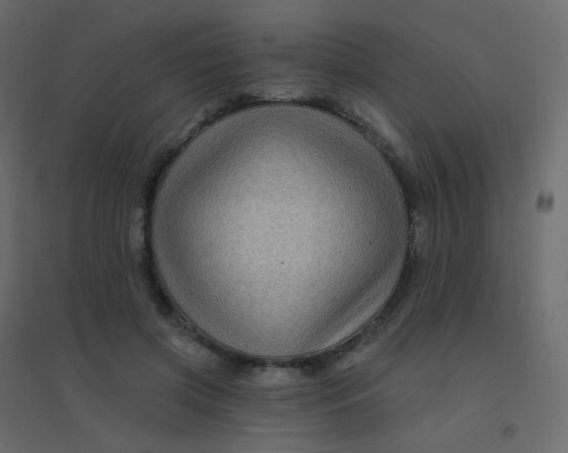 X0000094940549200712131602