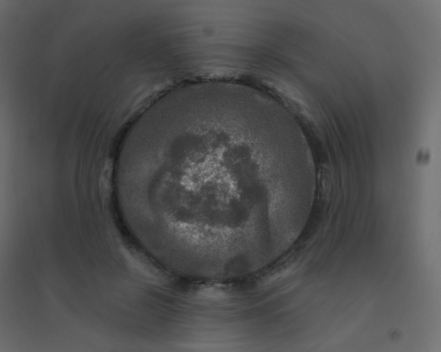 X0000094940550200712131602