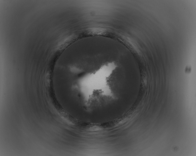 X0000094940551200712131602