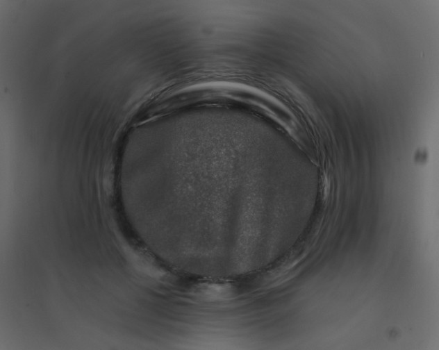 X0000094940552200712131602