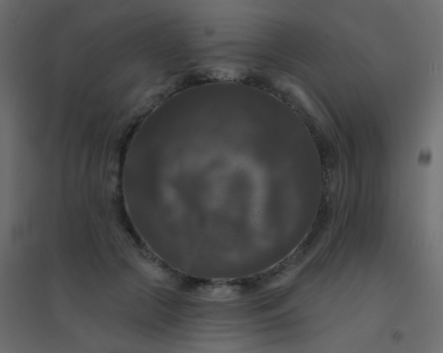 X0000094940553200712131602