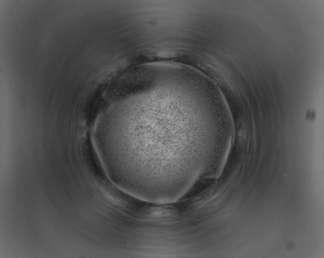 X0000094940555200712131602