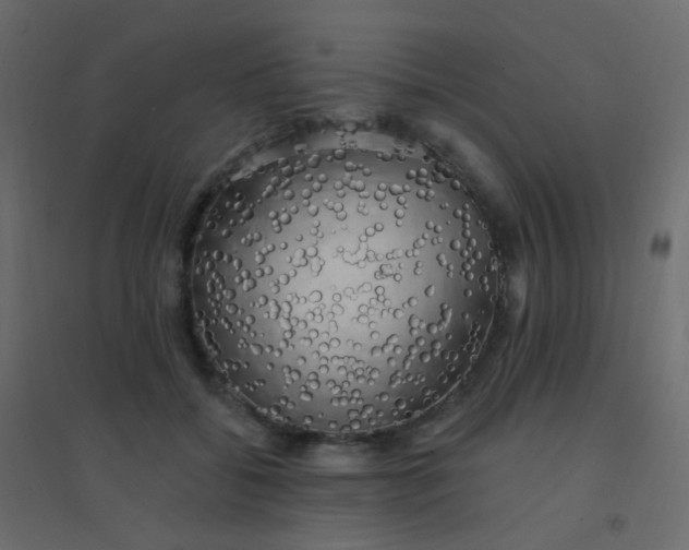 X0000094940556200712131602