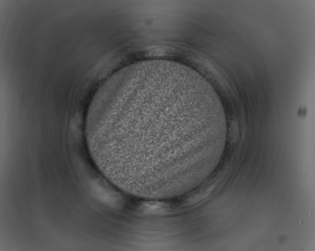 X0000094940557200712131602