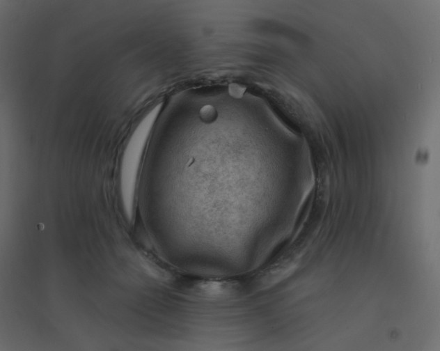 X0000094940558200712131602